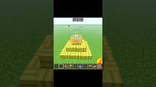 Parrot pool Minecraft shorts gaming impossible [upl. by Akisej634]