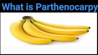 What is Parthenocarpy [upl. by Corny586]