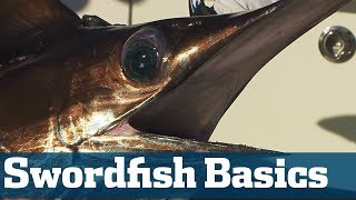 Catch Swordfish  Florida Sport Fishing TV  Step By Step Setting A Bait [upl. by Cam]