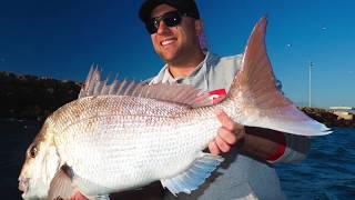 Snapper Fishing With Simrad 3D Structurescan [upl. by Garvy]