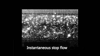 Parabolic and plug flow in a microfluidic channel [upl. by Aihsital]