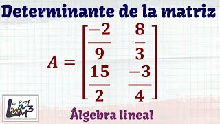 Determinante de una matriz 2x2 que incluye fracciones  La Prof Lina M3 [upl. by Aihsoek]