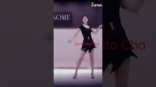 Senorita Cha Line Dance [upl. by Maureen]