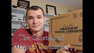 The Curation of Magical Curiosity  Cherry Wallis  PotterWatch [upl. by Atsilac]