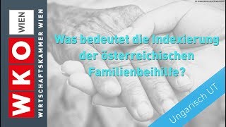 Was bedeutet die Indexierung der österreichischen Familienbeihilfe mit ungarischen UT [upl. by Bohun]