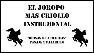 Joropo Instrumental  Brisas de Achagua [upl. by Nnyleitak798]