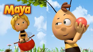 ¿LO HARÍAN BIEN MAYA Y WILLY EN LOS JUEGOS OLÍMPICOS 🐝 CAPÍTULOS DE MAYA para niños en ESPAÑOL 🐝 [upl. by Tolman]