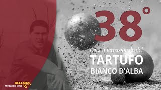 38 GARA INTERNAZIONALE TARTUFO BIANCO DALBA  BOCCE SPECIALITA VOLO [upl. by Llerrehc356]