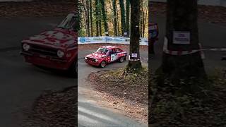 6° Lessinia Rally Historic 2024 SHOW amp CRASH  Prova Annullata [upl. by Adner]