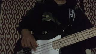 Volbeat  Leviathan Bass Guitar Cover 2019 [upl. by Giefer109]