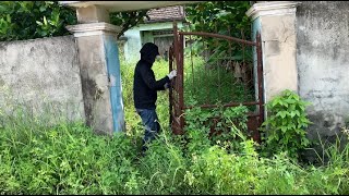 Beautifully transform abandoned house  Cut overgrown grass in front yard [upl. by Hussein]