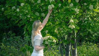 Midsummer Traditions in Finland [upl. by Anitsud540]