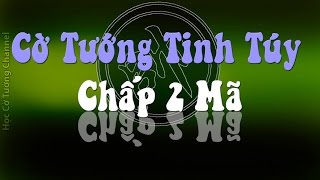 Cờ Tướng Học 14 Tuyệt Chiêu Chấp 2 Mã Hay Nhất [upl. by Elata]