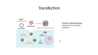 Transfection Introduction Advantages Code 82 [upl. by Willie]