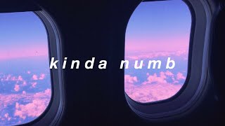 kinda numb  Tate McRae Lyrics [upl. by Ojeibbob]