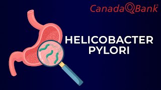 Helicobacter Pylori [upl. by Dowd]