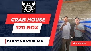 CRAB HOUSE 320 BOX DI KOTA PASURUAN [upl. by Marlowe]