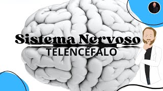 TELENCÉFALO  Cérebro hemisférios cerebrais áreas corticais e funções corticais de cada lobo [upl. by Othelia]