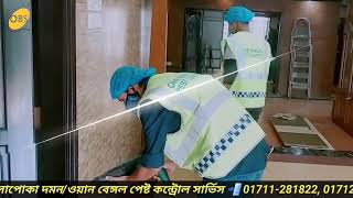 Jigatola Tali office DhakaBest Termite control service BD [upl. by Ahsitul]