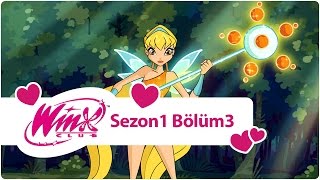 Winx Club  Sezon 1 Bölüm 3  Alfeada Dersler Başlıyor [upl. by Sadella]