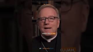 Declare Like Elijah  Bishop Barron [upl. by Areehs351]