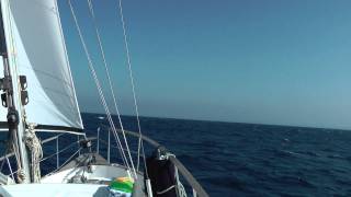 Cerga downwind sailing from Vis to Rogoznica [upl. by Hoyt193]