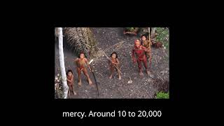 The Uncontacted Tribes of the Amazon Amazon Tribe [upl. by Missie]