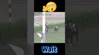 Wait for end Rcae 20 Oct 24 horse horserace lrc racingsports [upl. by Adnahsal534]