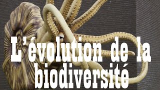 Capsule  quotLévolution de la biodiversitéquot [upl. by Fortin]