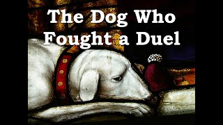 The Story of The Dog Who Fought a Duel [upl. by Annaeel]