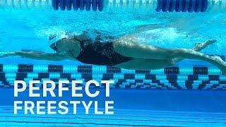 How To Swim Freestyle With Perfect Technique [upl. by Niwre470]