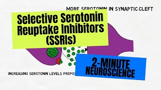 2Minute Neuroscience Selective Serotonin Reuptake Inhibitors SSRIs [upl. by Helyn77]