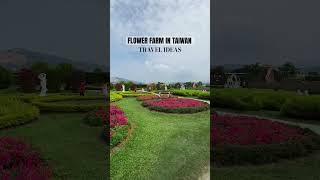 Famous flower farm in Taiwan taiwan flowerfarm [upl. by Parsifal]