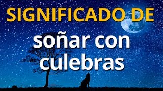 Qué significa soñar con culebras 💤 Interpretación de los Sueños [upl. by Lula]