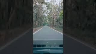 Driving in the Chilapata forest is different [upl. by Hoenack377]