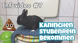 Kaninchen stubenrein bekommen  Infovideo [upl. by Sprung]