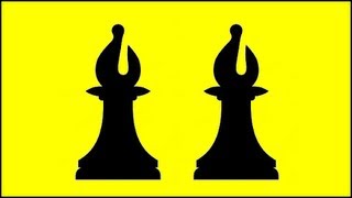 Checkmate with Two Bishops [upl. by Misaq]