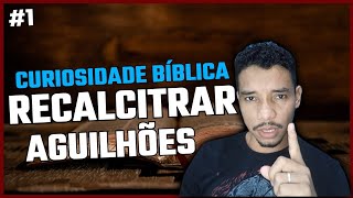 CURIOSIDADE BÍBLICA O que Significa Recalcitrar Contra os Aguilhões Parte 1 [upl. by Calloway]