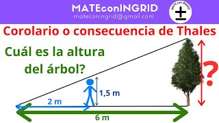 Corolario o consecuencia de Thales Tales ejercicio fácil para poder deducirlo [upl. by Anzovin]