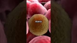 VECTORS THE CLONING VEHICLES IN DNA RECOMBINATION facts biofacts factscience science shorts [upl. by Samid]