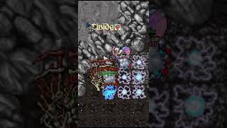 TIBIA  ¿CONOCÍAS ESTE BUG [upl. by Emelin]