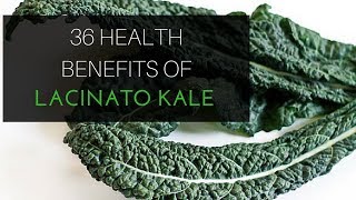 Dr Sebi Diet Fighting Osteoporosis Alkaline Electric Food 36 Health Benefits of Lacinato Kale [upl. by Ker]