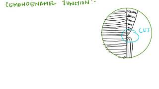 quotCEMENTUM CEMENTOENAMEL JUNCTIONquot CEMENTODENTINAL JUNCTION FOR BDS [upl. by Wise19]