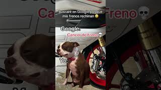 Cáncer de freno💔😭 450sr cfmoto humor meme brembo mexico nuevomodelo biker moto gopro [upl. by Aihsenek90]