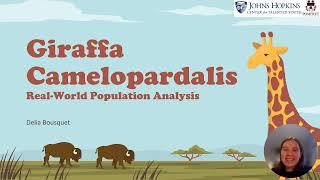 Giraffa Camelopardalis Linear Algebra Project [upl. by Aicatsal]