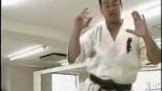 Kyokushin karate speed kick tutorial [upl. by Sidoma806]