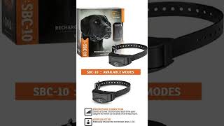 Bark Collar for dog [upl. by Eilatam]