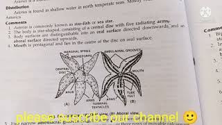 asterias starfish classification habitat and comments zoology practical bsccomments on asterias [upl. by Gayla]