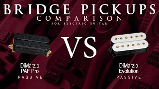 DiMarzio PAF PRO vs EVOLUTION  Passive Bridge Guitar Pickup Comparison Tone Demo [upl. by Arria]