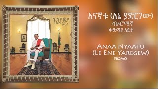 Teddy Afro  አናኛቱ ለኔ ያድርገው በኦሮሚኛ  New Music Promo 2017 [upl. by Darreg]